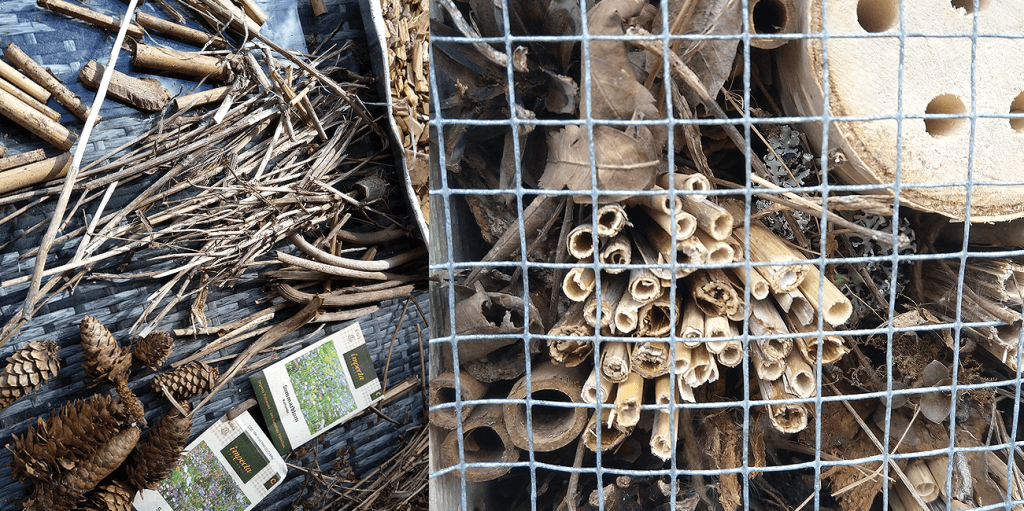 Building Bug Hotels