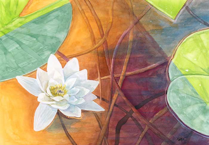 Summer Lily (2020) - watercolor on white paper. St Cuthberts Mill Bockingford (29,7x42cm / A3, 300GSM)